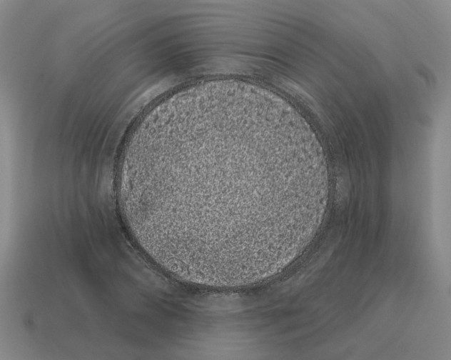 X0000114200882200911061422