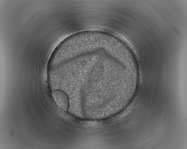 X0000114200883200911061422