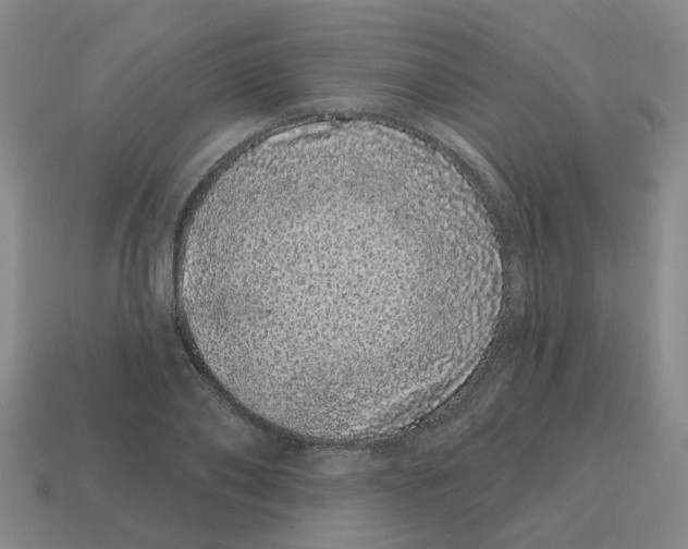 X0000114200886200911061422