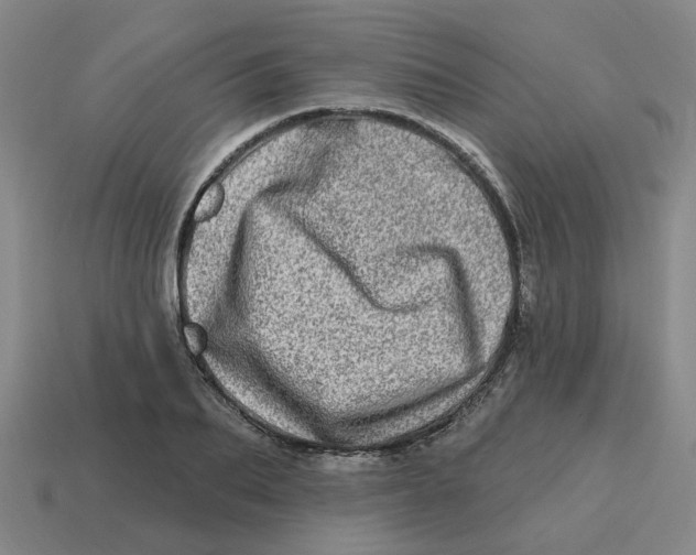 X0000114200887200911061422