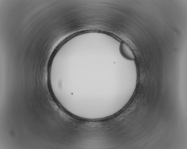 X0000114200888200911061422