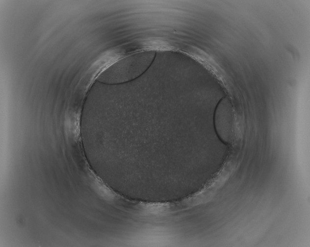 X0000114200889200911061422