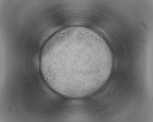 X0000114200890200911061422