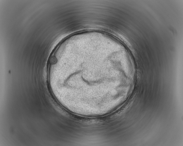 X0000114200891200911061422