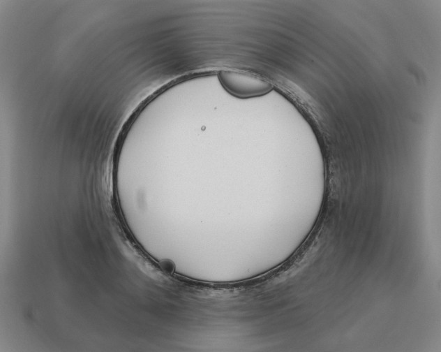 X0000114200892200911061422