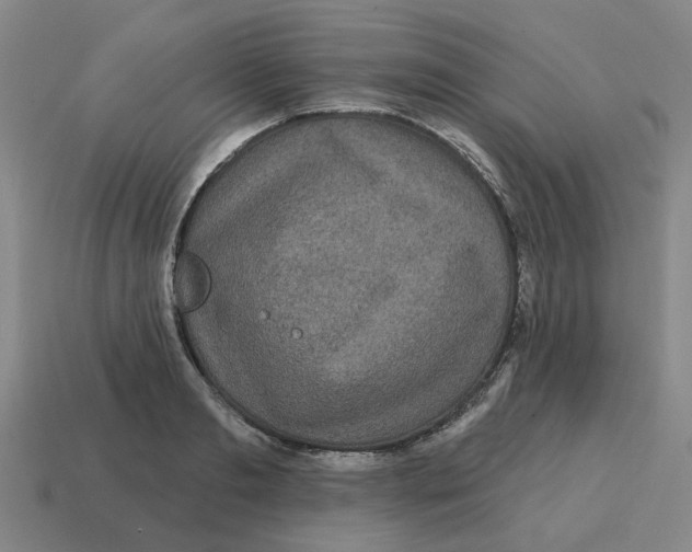 X0000114200893200911061422