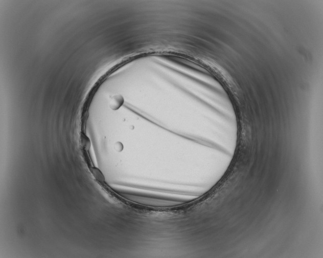 X0000114200894200911061422