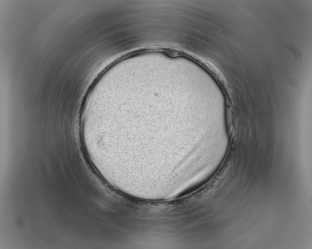 X0000114200895200911061422