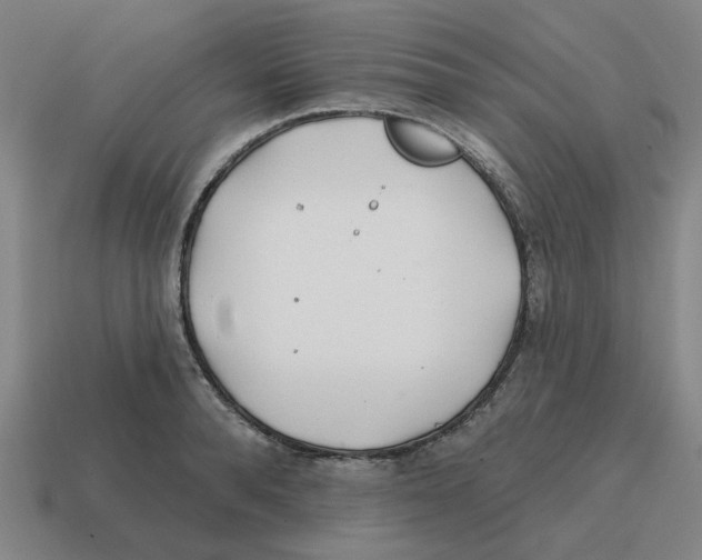 X0000114200896200911061422