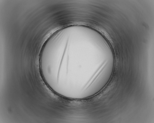 X0000114200898200911061422