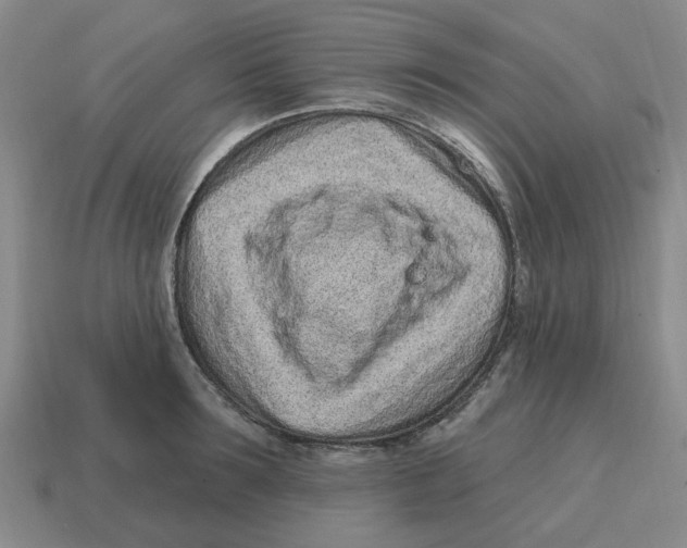 X0000114200899200911061422