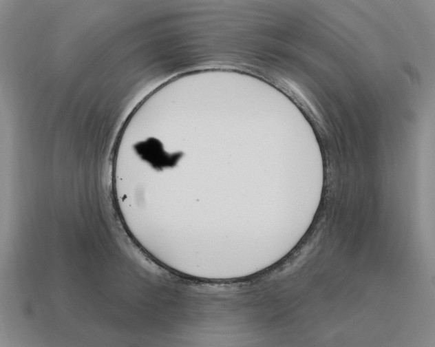 X0000114200900200911061422