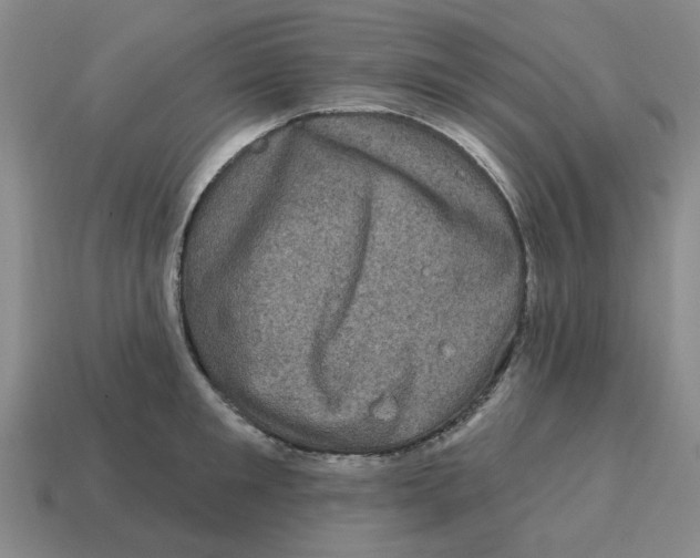 X0000114200901200911061422