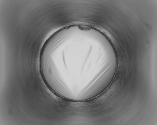 X0000114200902200911061422