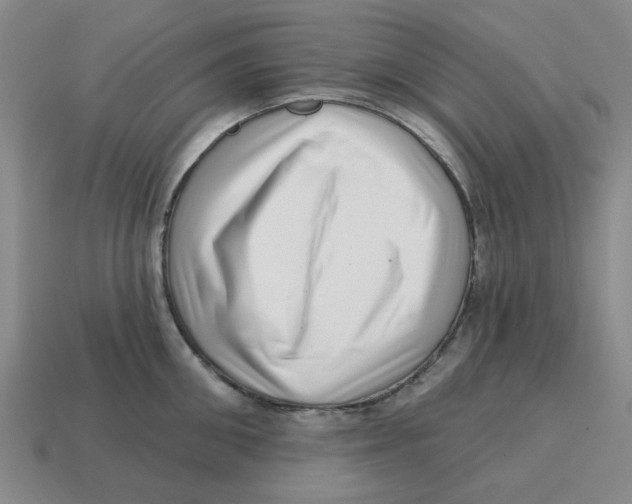 X0000114200906200911061422