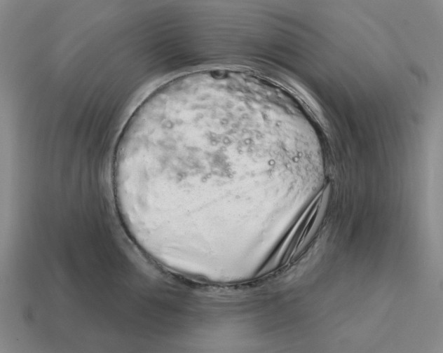 X0000114200907200911061422