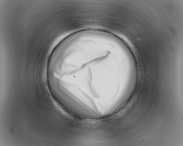 X0000114200910200911061422