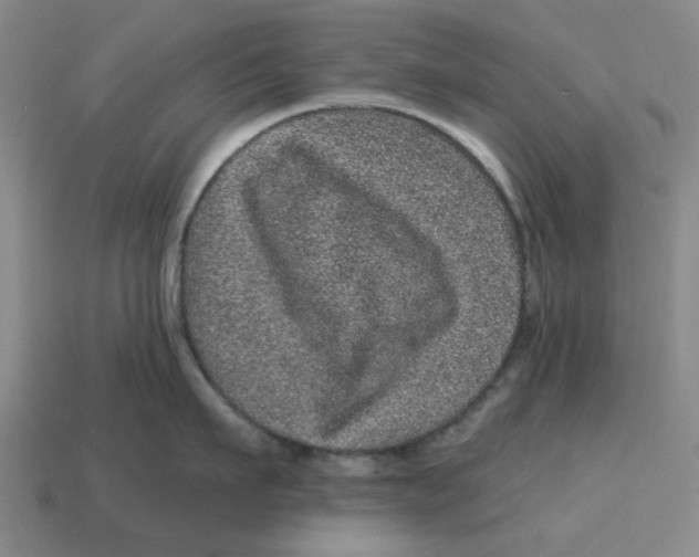 X0000114200911200911061422