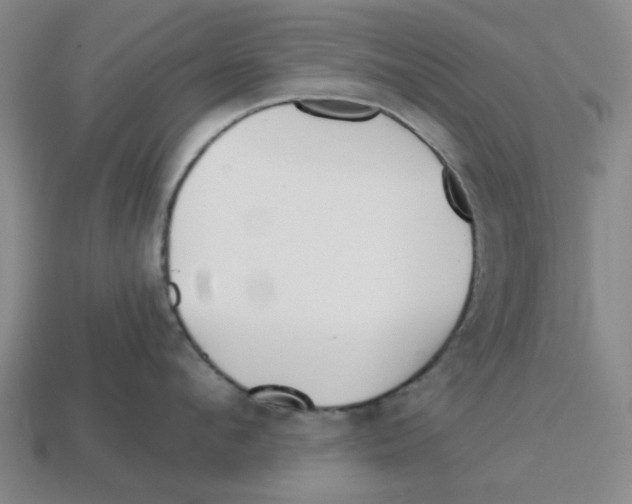 X0000114200912200911061422