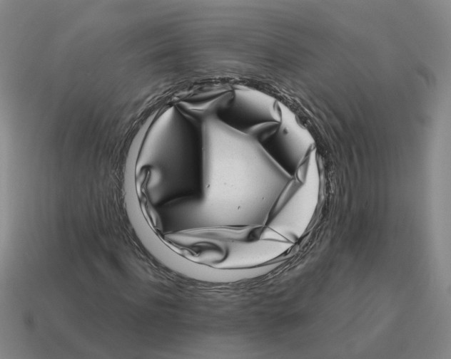 X0000114200916200911061421