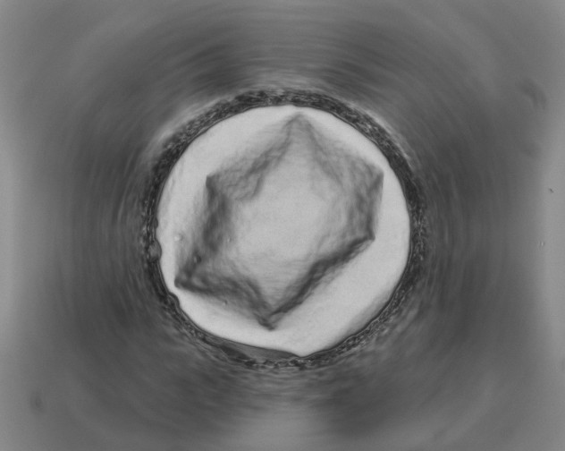 X0000114200919200911061421