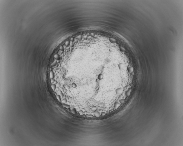 X0000114200921200911061421