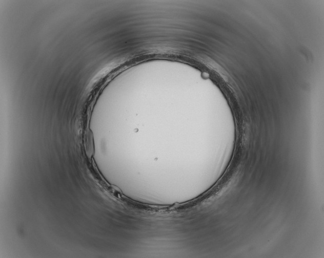 X0000114200922200911061421