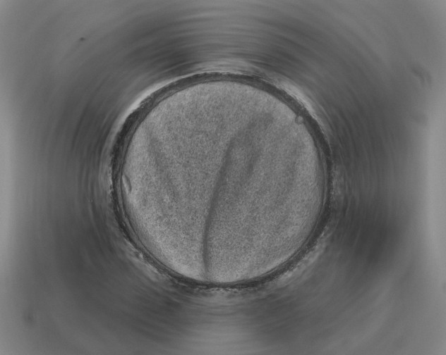 X0000114200923200911061421