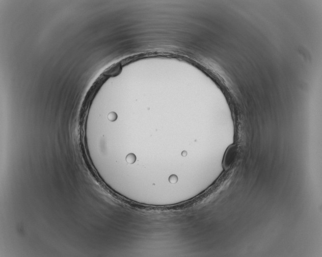 X0000114200924200911061421