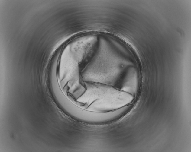 X0000114200925200911061421