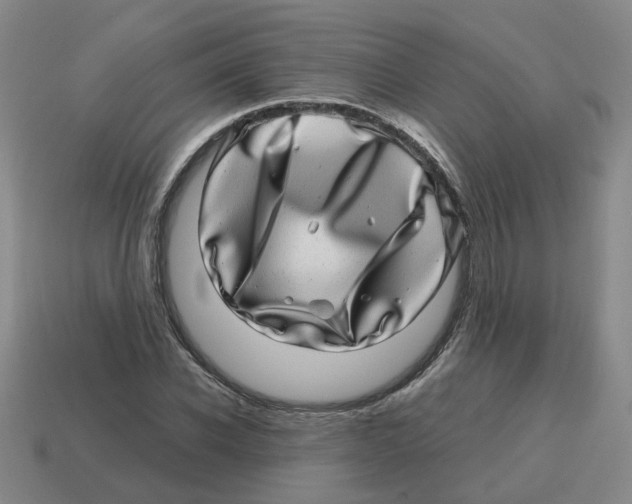 X0000114200926200911061421