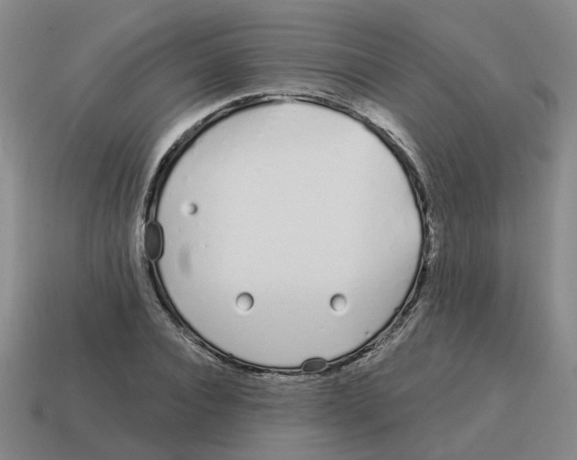 X0000114200928200911061421