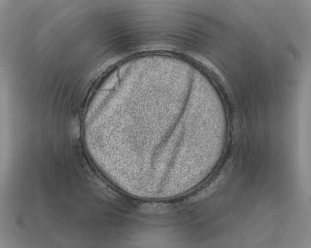 X0000114200929200911061421