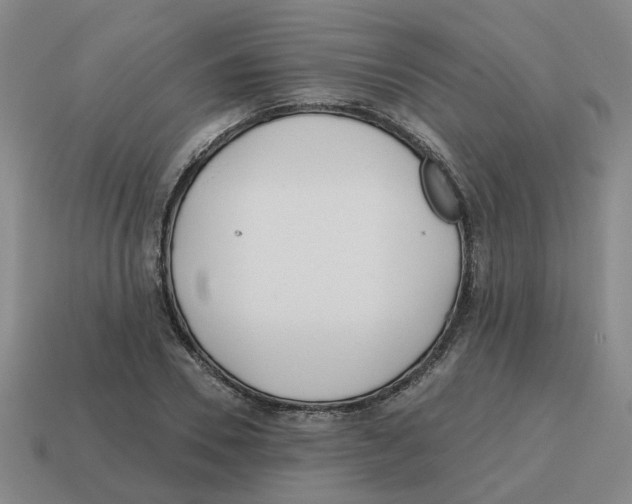 X0000114200930200911061421