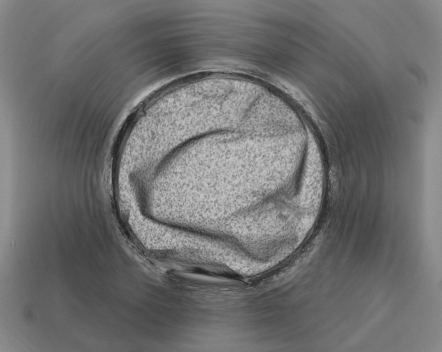 X0000114200931200911061421