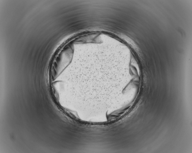 X0000114200934200911061421