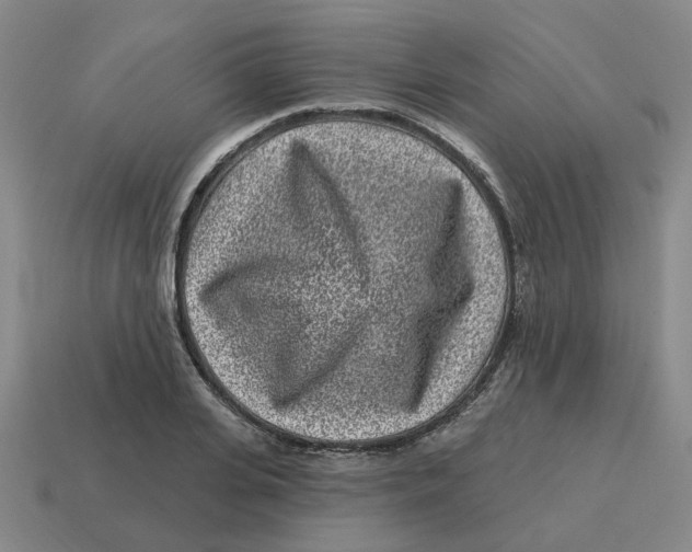 X0000114200935200911061421