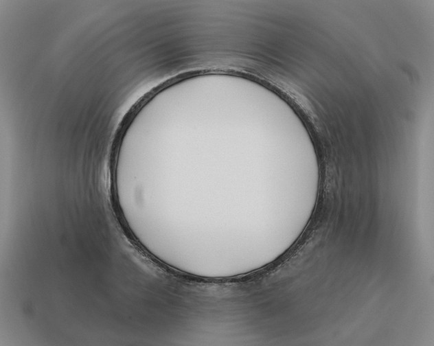 X0000114200936200911061421