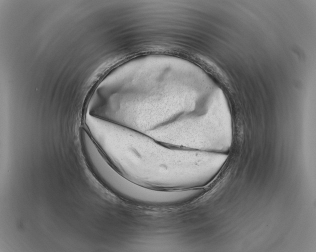 X0000114200938200911061421