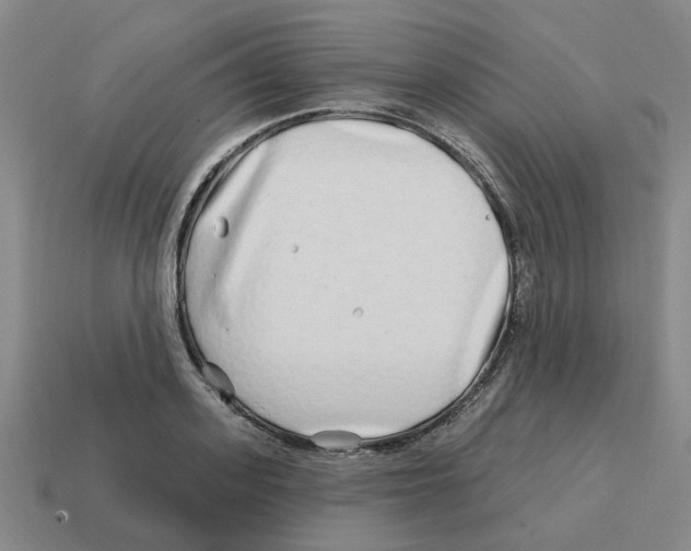 X0000114200939200911061421