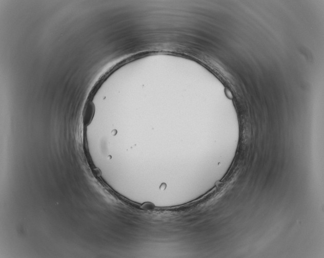 X0000114200940200911061421