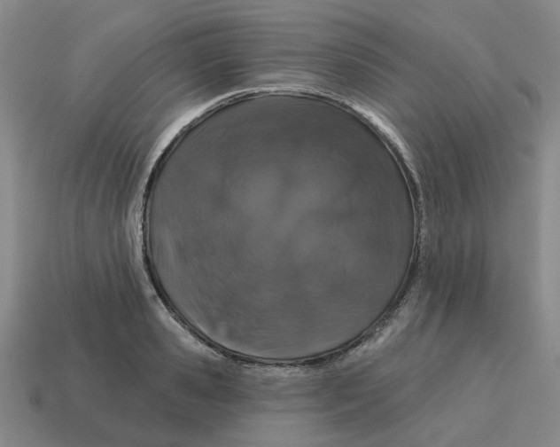 X0000114200941200911061421