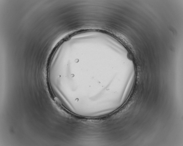 X0000114200942200911061421