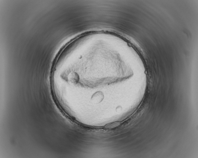 X0000114200943200911061421