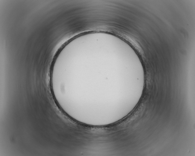 X0000114200944200911061421