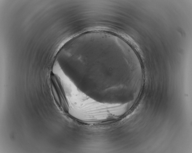 X0000114200945200911061421