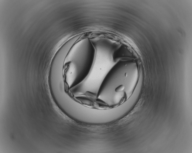 X0000114200946200911061421