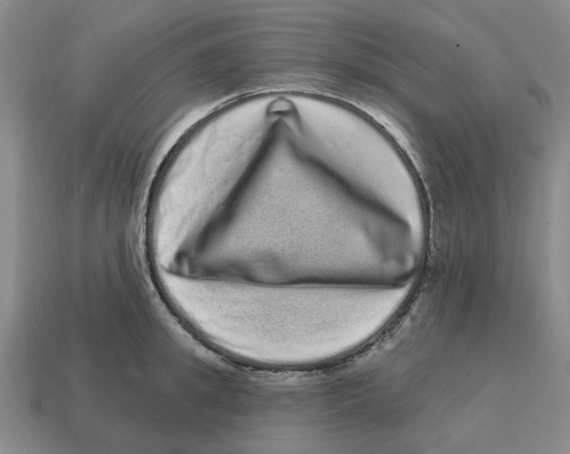 X0000114200949200911061421