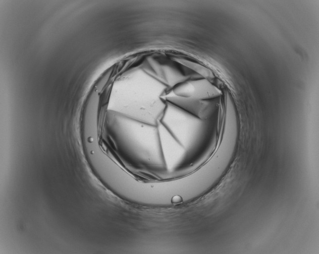 X0000114200950200911061421