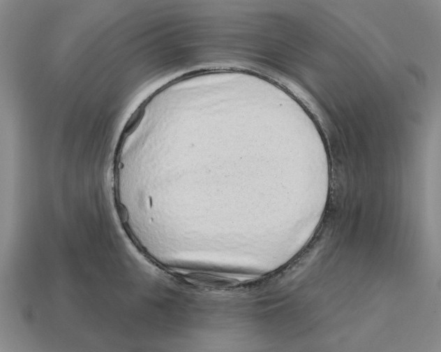 X0000114200951200911061421